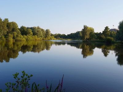 Weiterlesen: Teichanlage Steindammpark