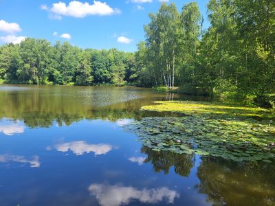 Weiterlesen: Teichanlage Kölln-Reisiek