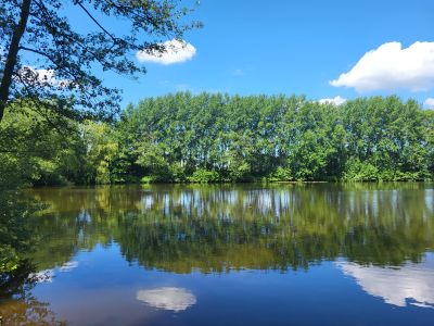 Weiterlesen: Teichanlage Kölln-Reisiek